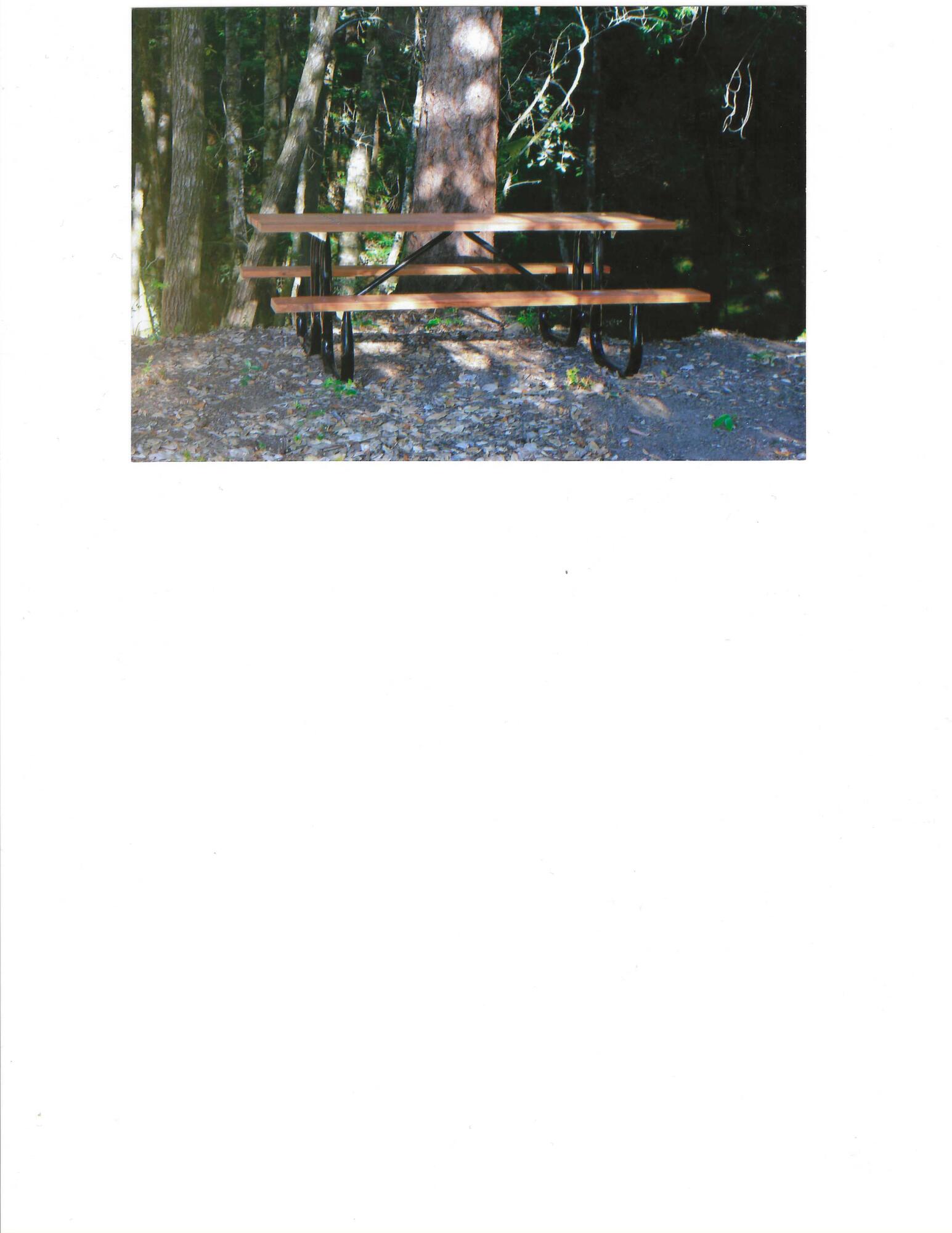 195 Rd A Whitethorn, CA 95589 - Photo 28 of 47 Picnic Table on Mattole River