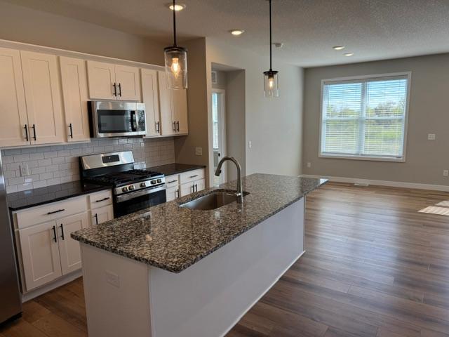 10503 Robinwood Road Chaska, MN 55318 - Photo 3 of 18