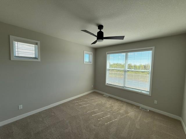 10503 Robinwood Road Chaska, MN 55318 - Photo 7 of 18