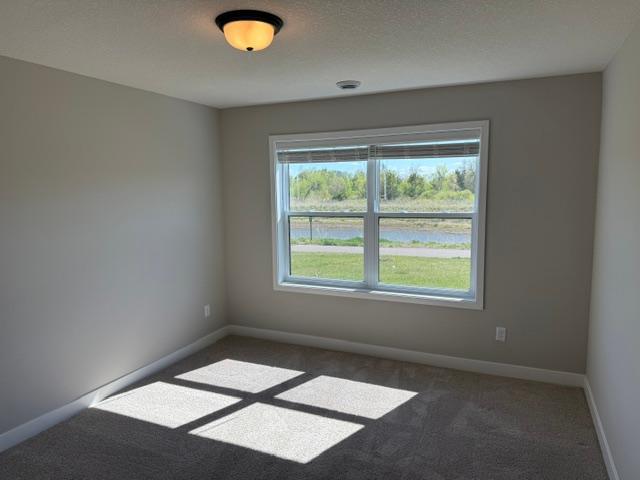 10503 Robinwood Road Chaska, MN 55318 - Photo 10 of 18
