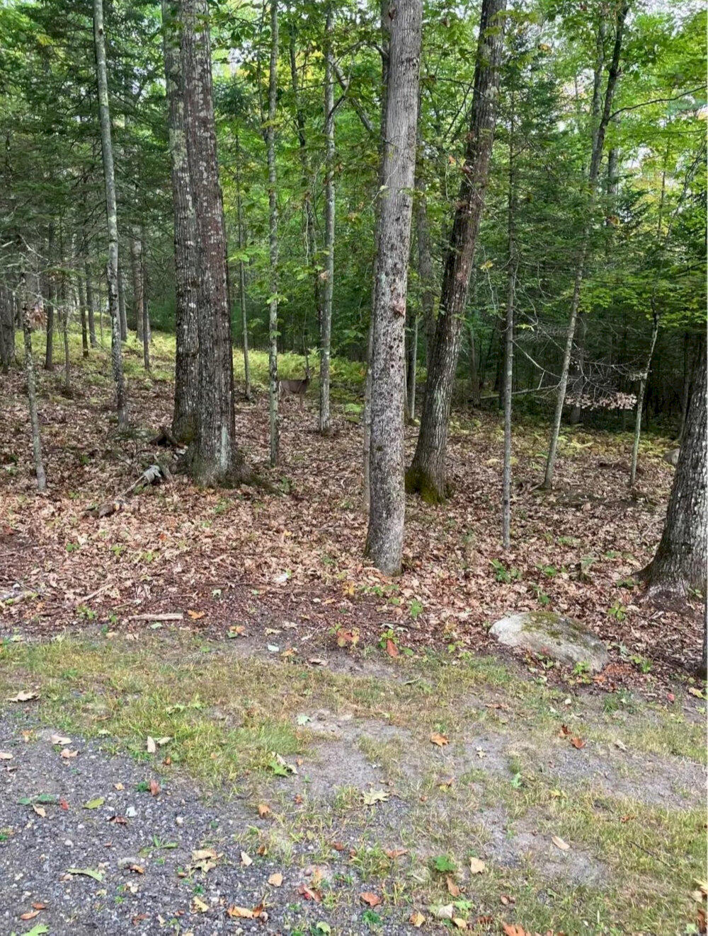 284 Frank Savage Road Bingham, ME 04920 - Photo 24 of 27 Screenshot_20260602_153326_Facebook_resu