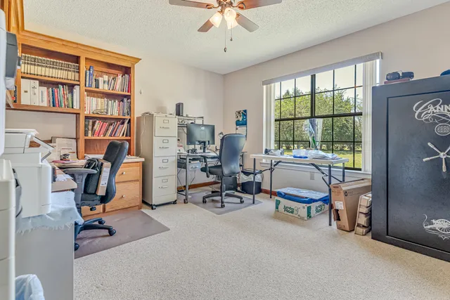 a view of a park with large trees
