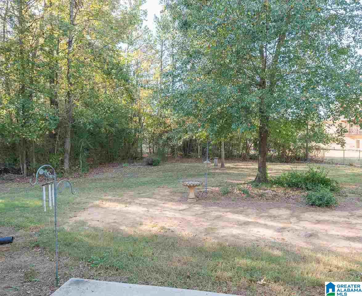 240 Peaceful Lane Springville, AL 35146 - Photo 25 of 28