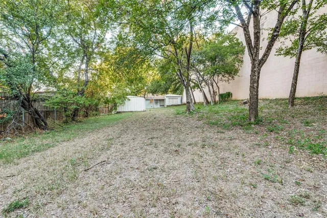 a view of a forest with trees in the background