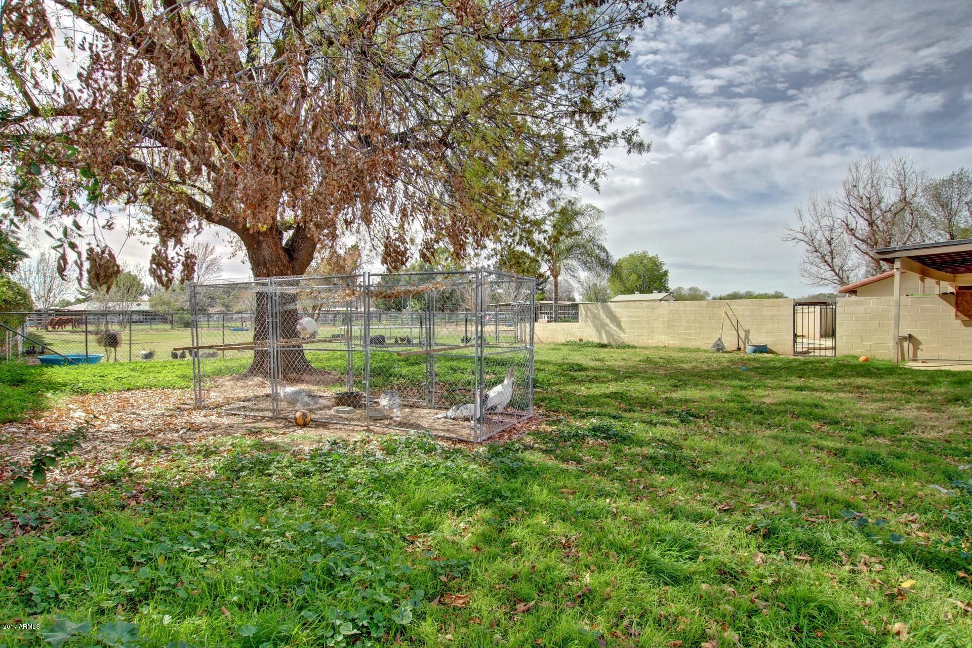 16641 East Frye Road Gilbert, AZ 85295 - Photo 28 of 48 Expansive Backyard