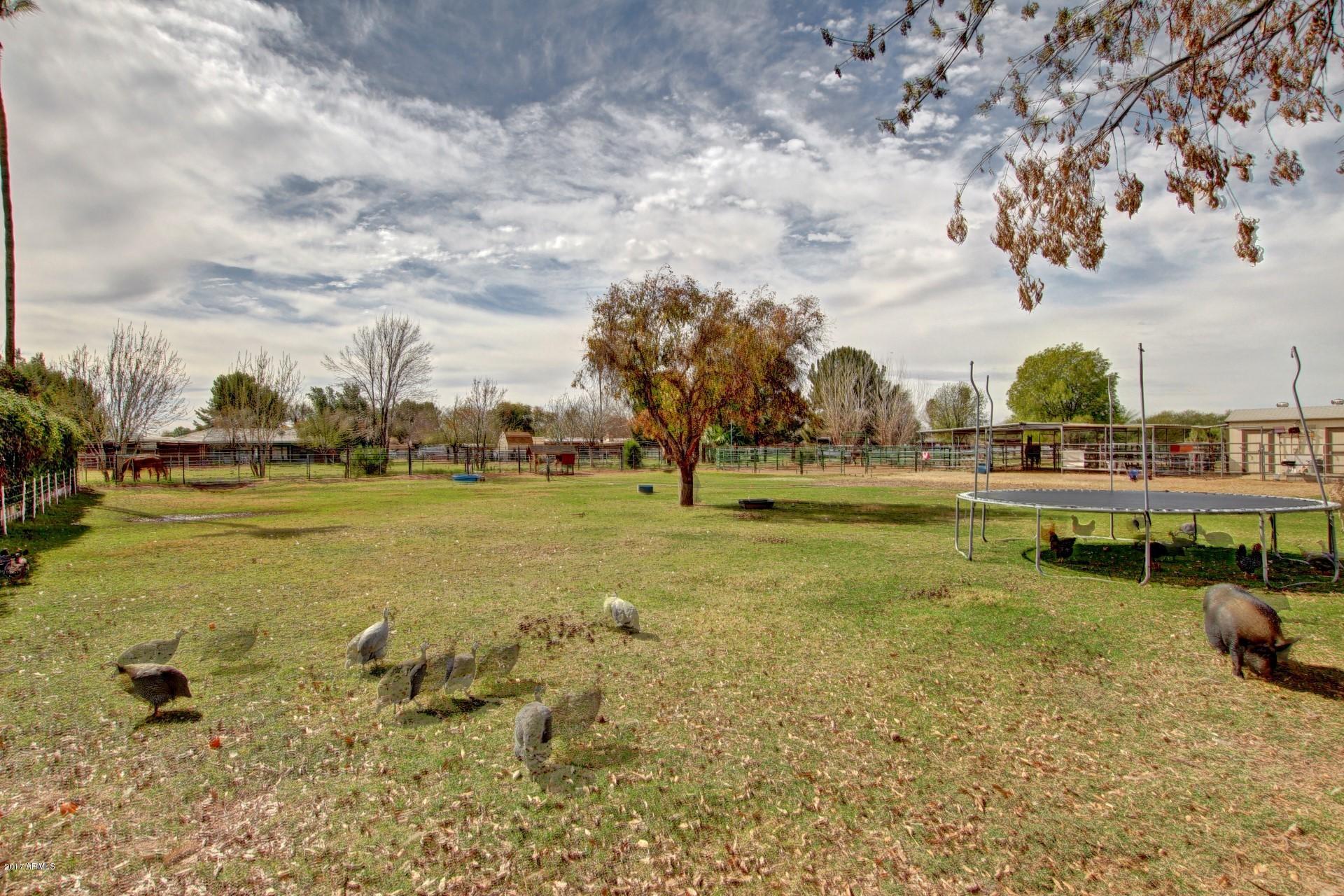 16641 East Frye Road Gilbert, AZ 85295 - Photo 29 of 48 Expansive Backyard