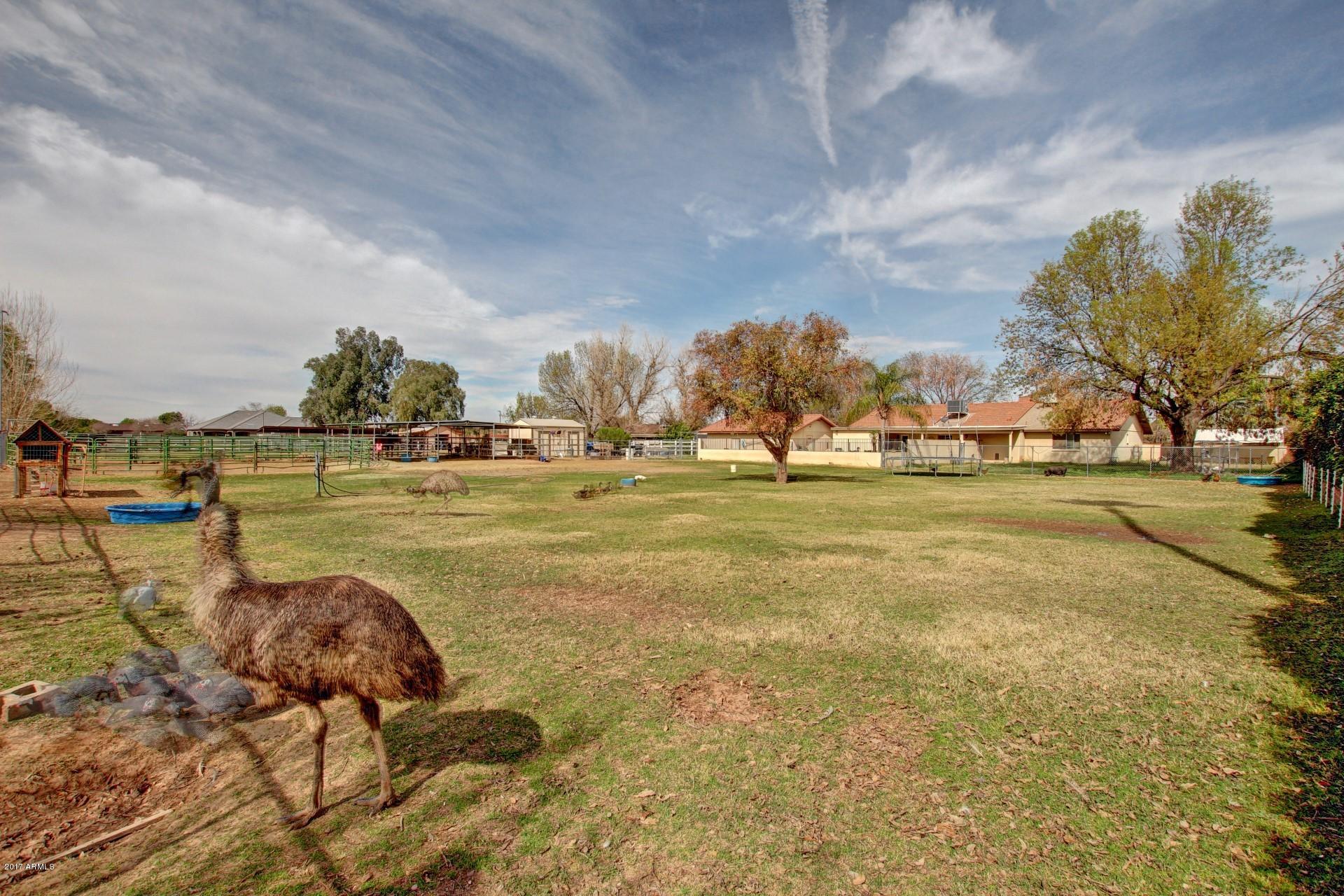 16641 East Frye Road Gilbert, AZ 85295 - Photo 30 of 48 Expansive Backyard