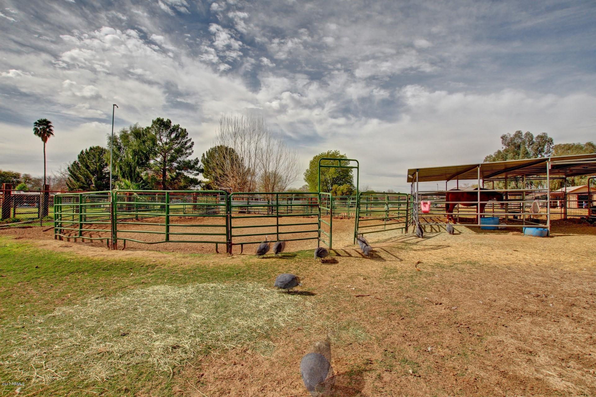 16641 East Frye Road Gilbert, AZ 85295 - Photo 31 of 48 Expansive Backyard