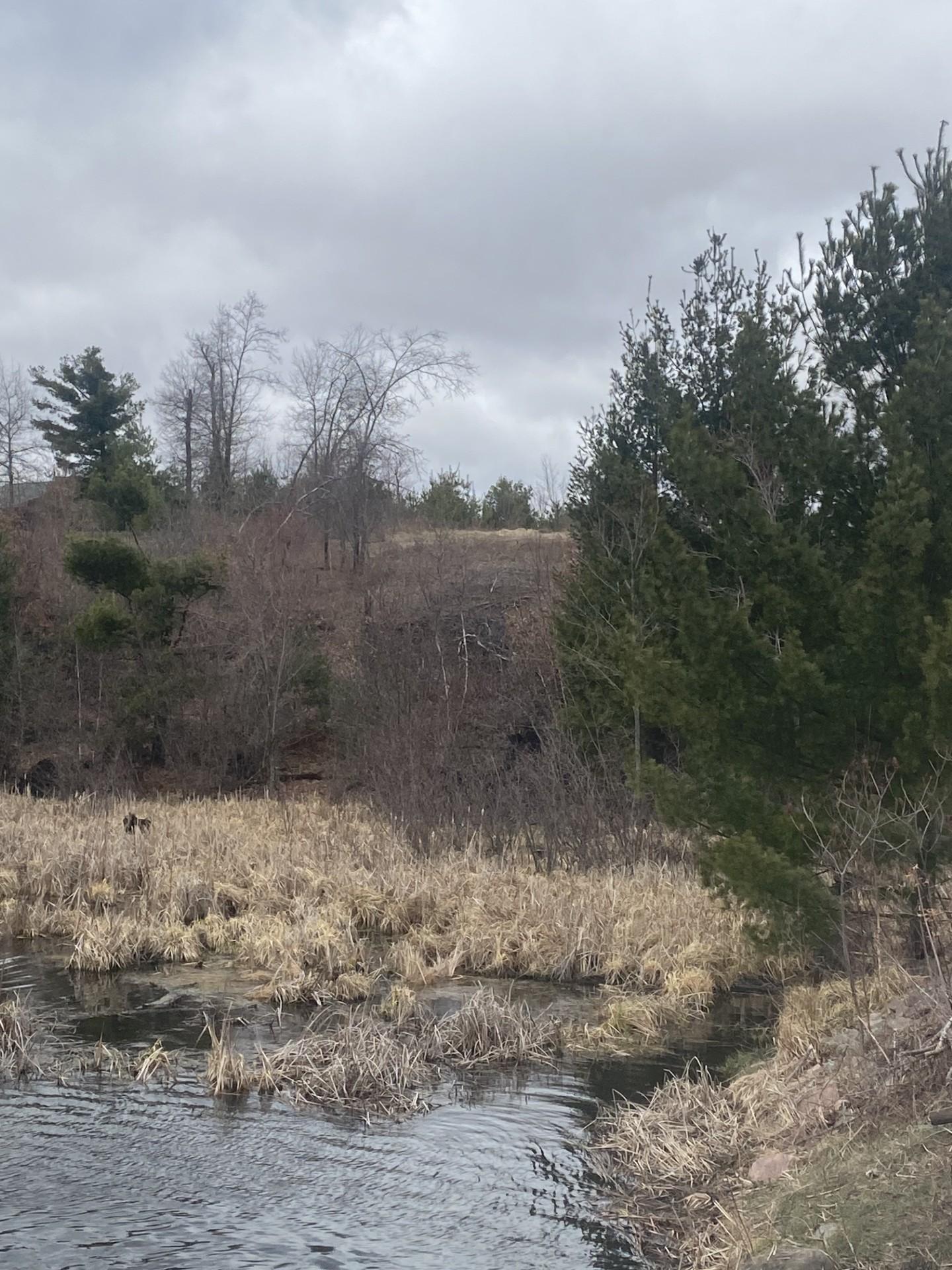 Lot 1 10-7/8 Avenue Cameron, WI 54822 - Photo 2 of 10