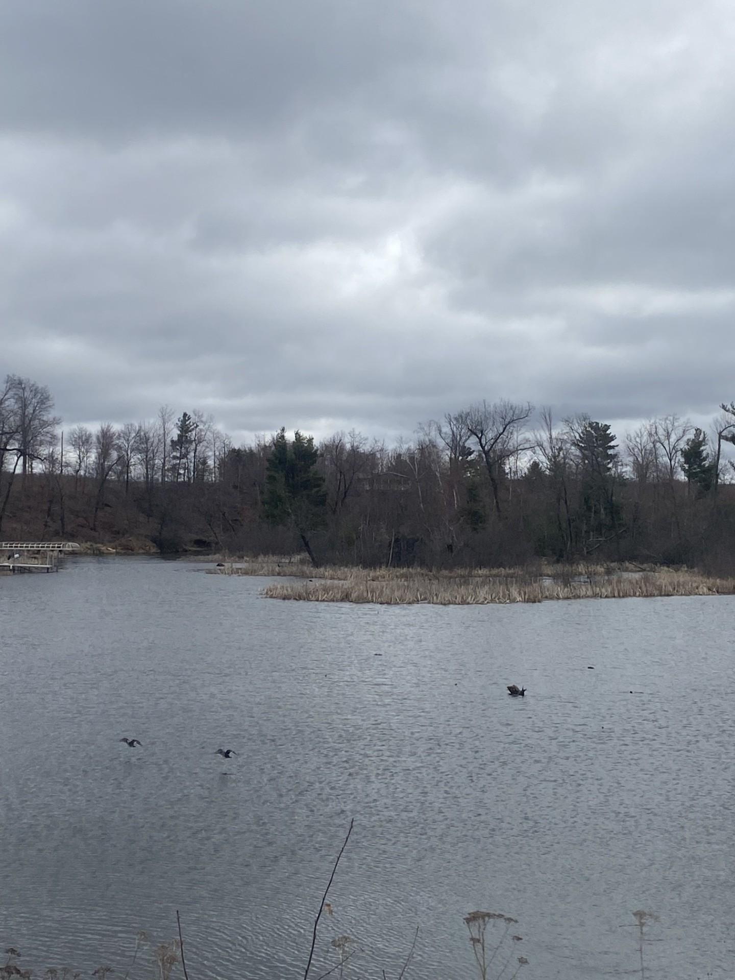 Lot 1 10-7/8 Avenue Cameron, WI 54822 - Photo 5 of 10