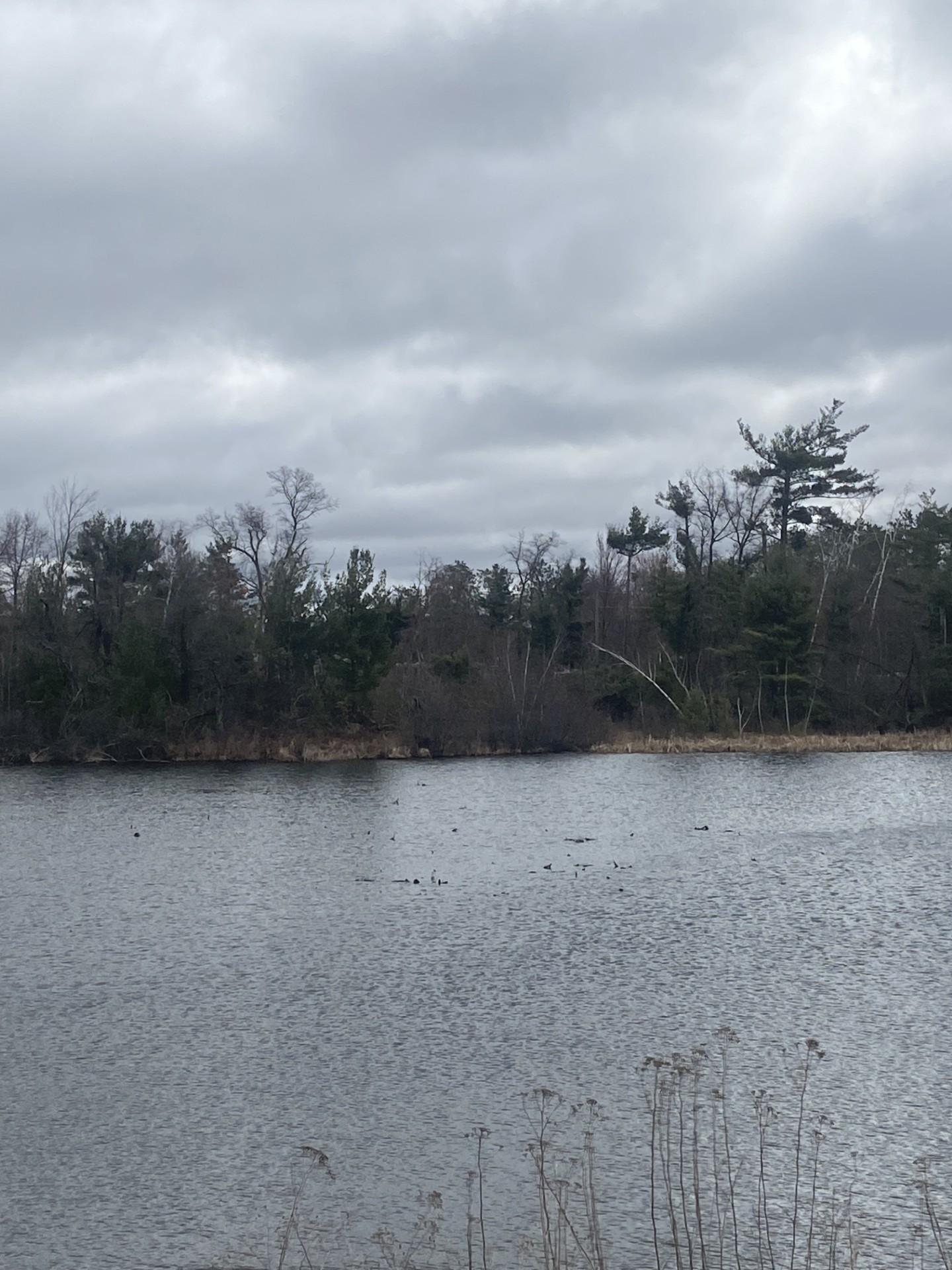 Lot 1 10-7/8 Avenue Cameron, WI 54822 - Photo 6 of 10