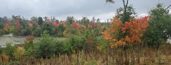 $89,900 | Lot 1 10-7/8 Avenue, Cameron, WI 54822