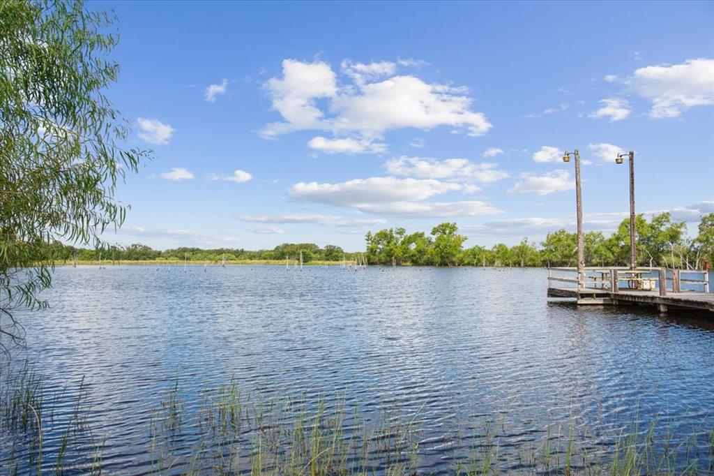 Water view with a dock