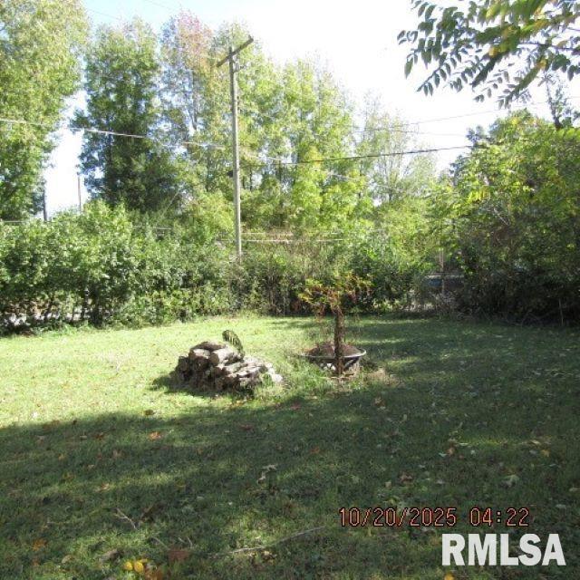 302 Patton Street Valier, IL 62891 - Photo 3 of 10