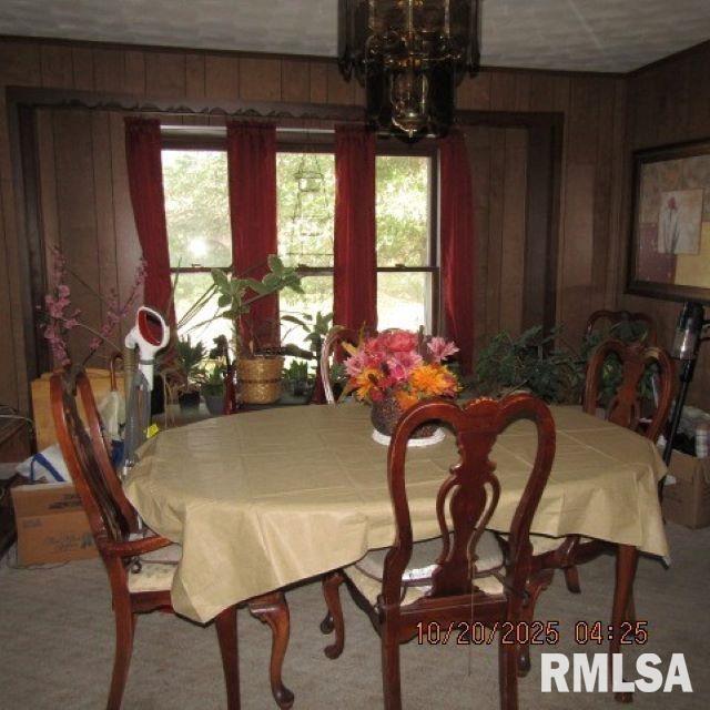 302 Patton Street Valier, IL 62891 - Photo 5 of 10