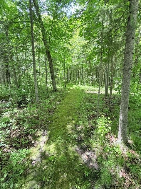 24353 Hines Road Northeast Hines, MN 56647 - Photo 4 of 22