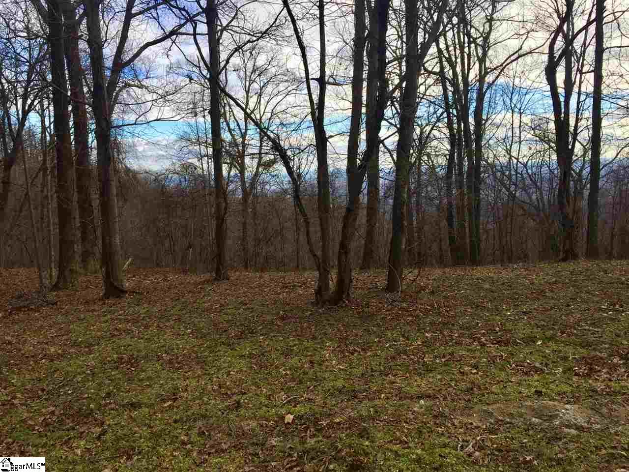 40 Raven Road, Unit CAG3007 Landrum, SC 29356 - Photo 2 of 3 Gallery Image 2