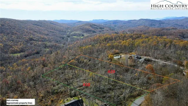 a view of a bunch of trees and snow on the road