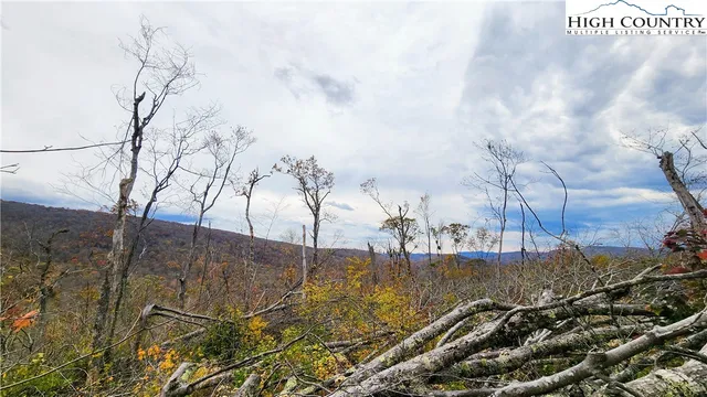 a view of a backyard of the house