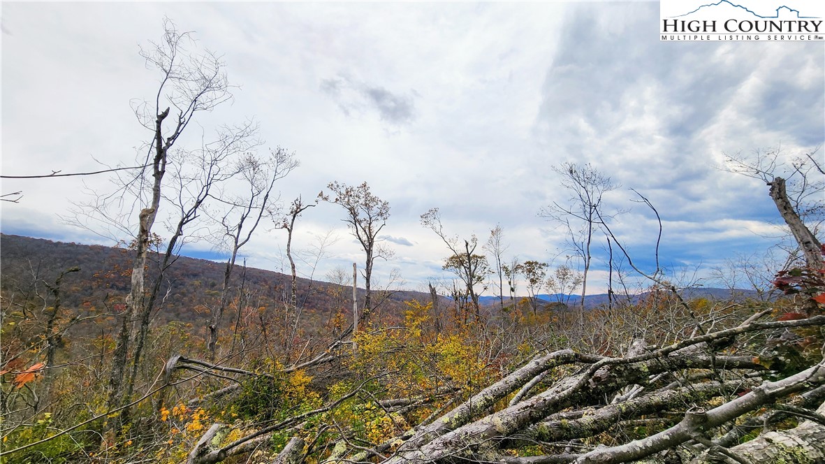 A18 Meadow Ave Loop Banner Elk, NC 28604 - Photo 12 of 19