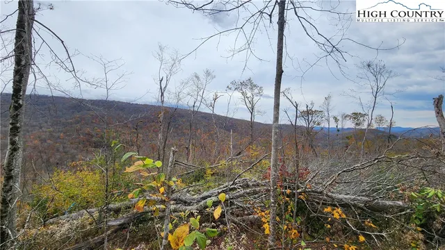 a view of a dry yard with mountain