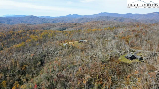 a view of a forest with mountains in the background