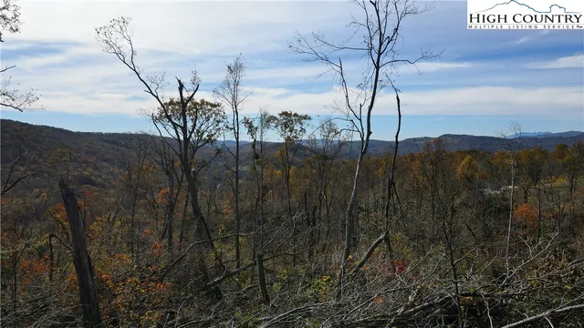 a view of a dry field with trees in the background