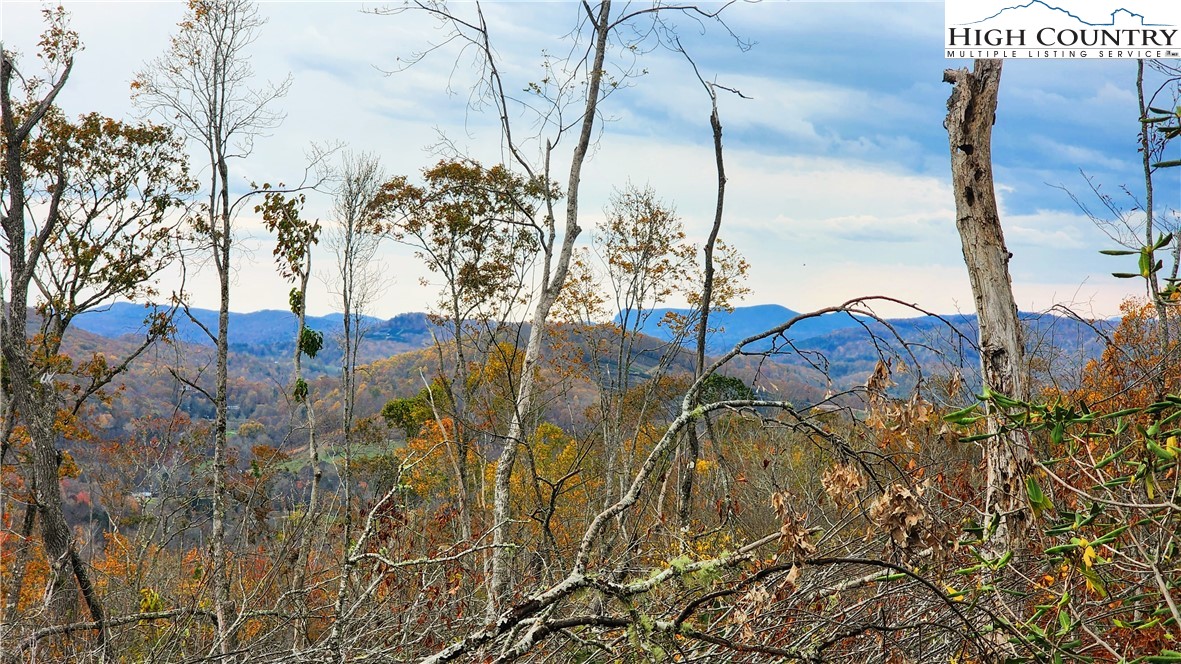 A18 Meadow Ave Loop Banner Elk, NC 28604 - Photo 2 of 19 a view of an outdoor space and a yard