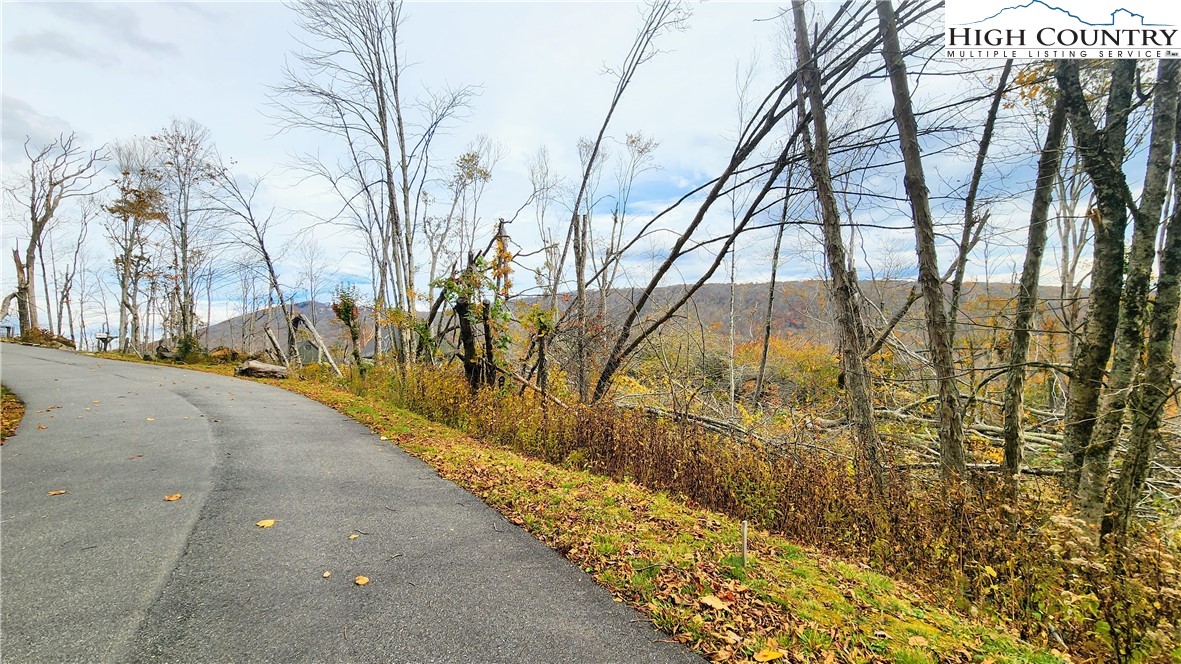 A18 Meadow Ave Loop Banner Elk, NC 28604 - Photo 5 of 19 a street view with large trees