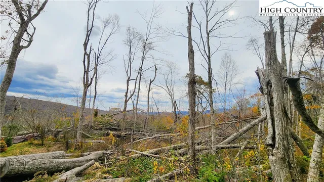a view of a backyard of the house