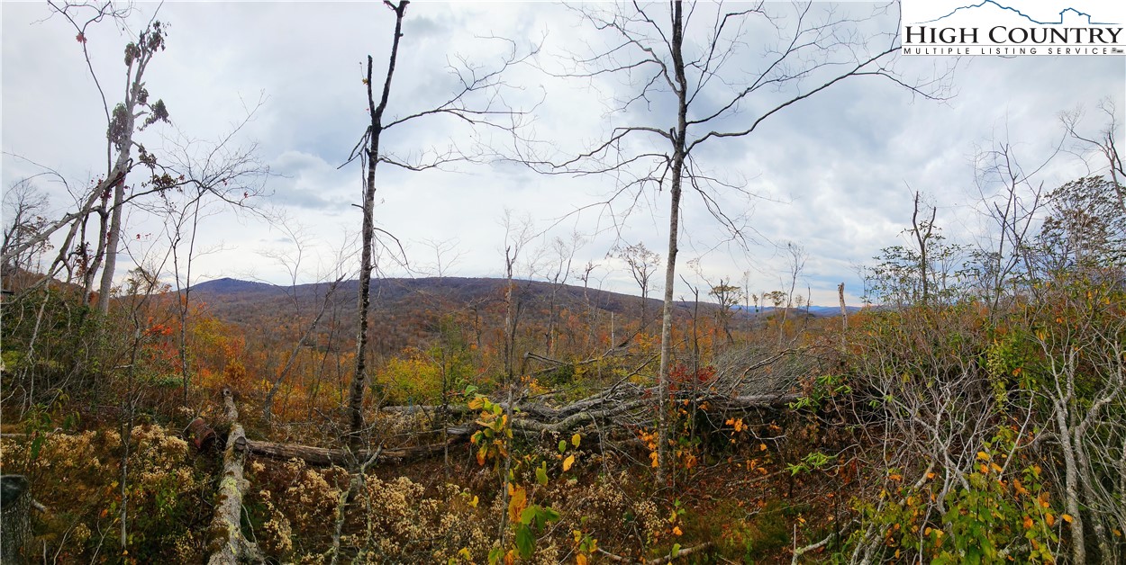 A18 Meadow Ave Loop Banner Elk, NC 28604 - Photo 7 of 19 a view of a field