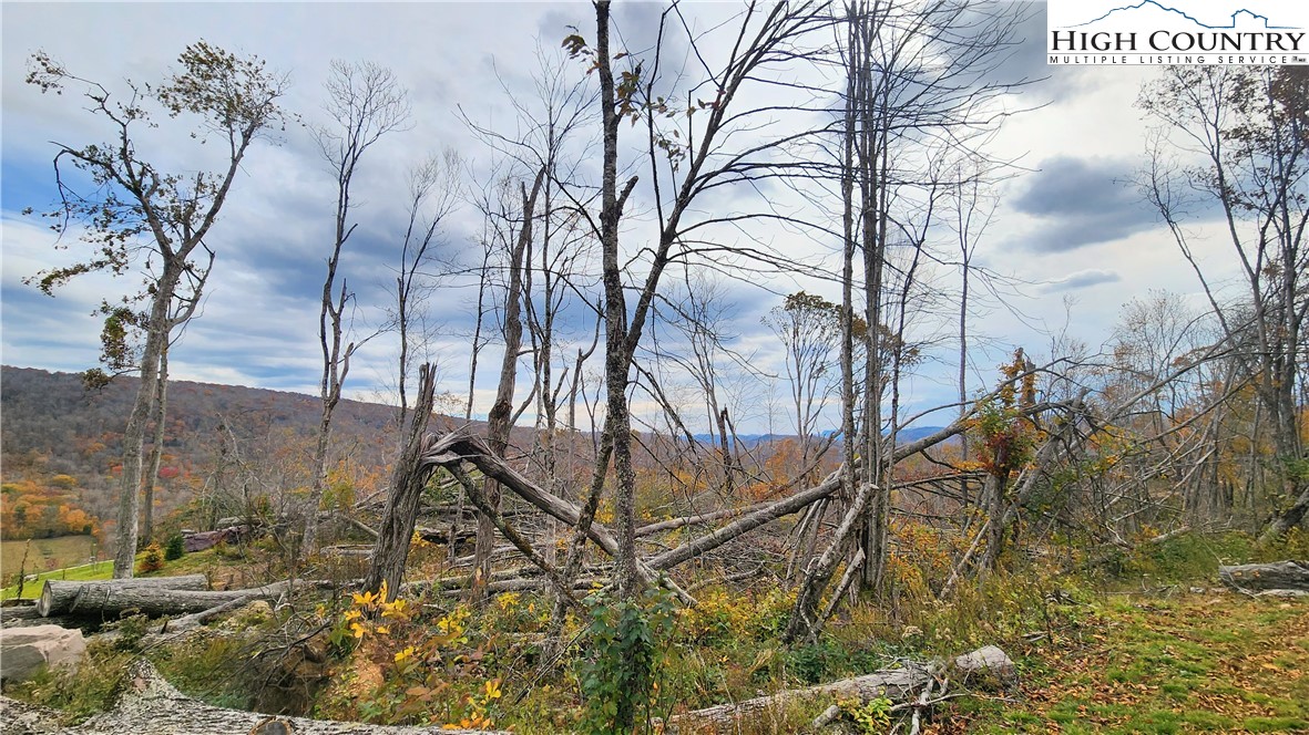 A18 Meadow Ave Loop Banner Elk, NC 28604 - Photo 8 of 19 a backyard of a house with lots of green space