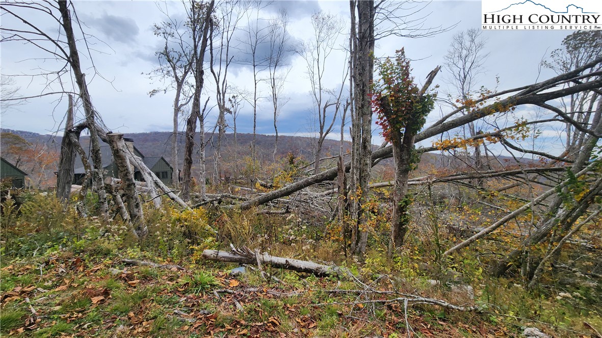 A18 Meadow Ave Loop Banner Elk, NC 28604 - Photo 10 of 19 a view of outdoor space and yard