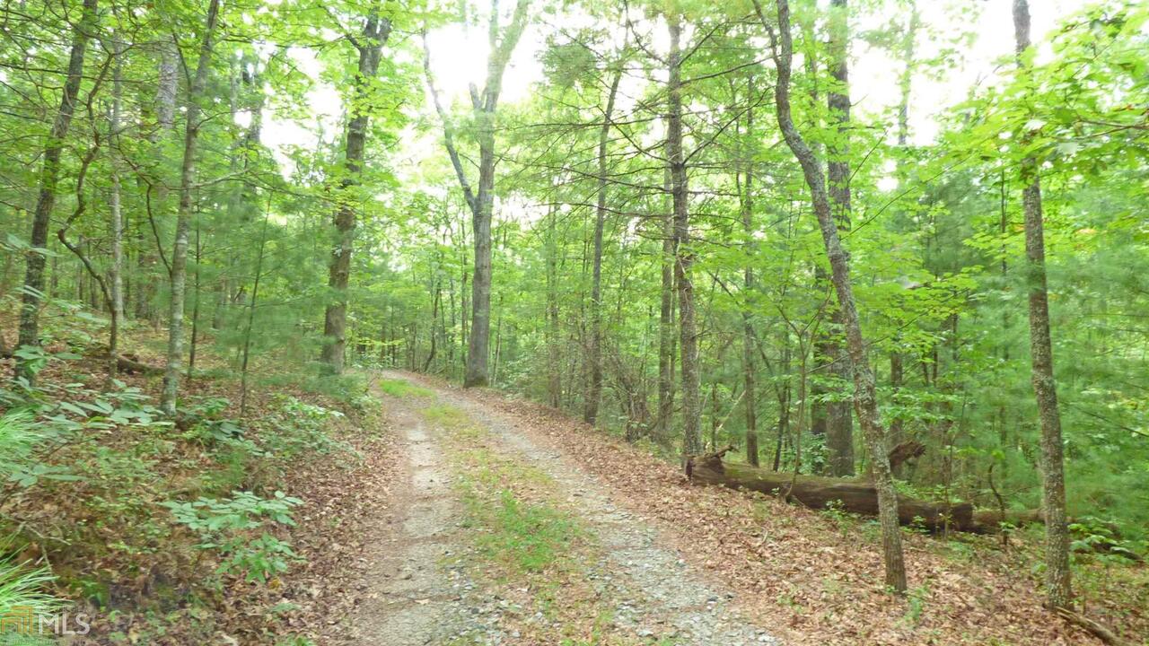 0 Doublehead Gap Road, Unit 10 AC LT 4 Blue Ridge, GA 30513 - Photo 1 of 1 Gallery Image 1