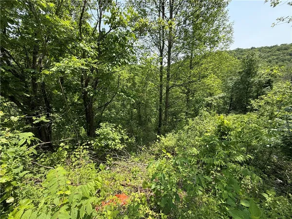 $12,500 | 160 Pine Street, Charleston, WV 25311
