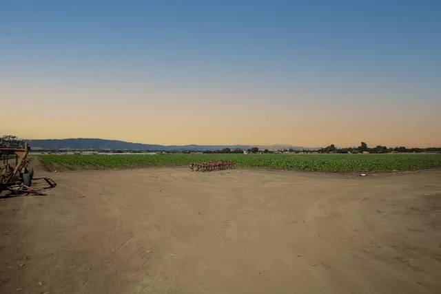 a view of a large green field