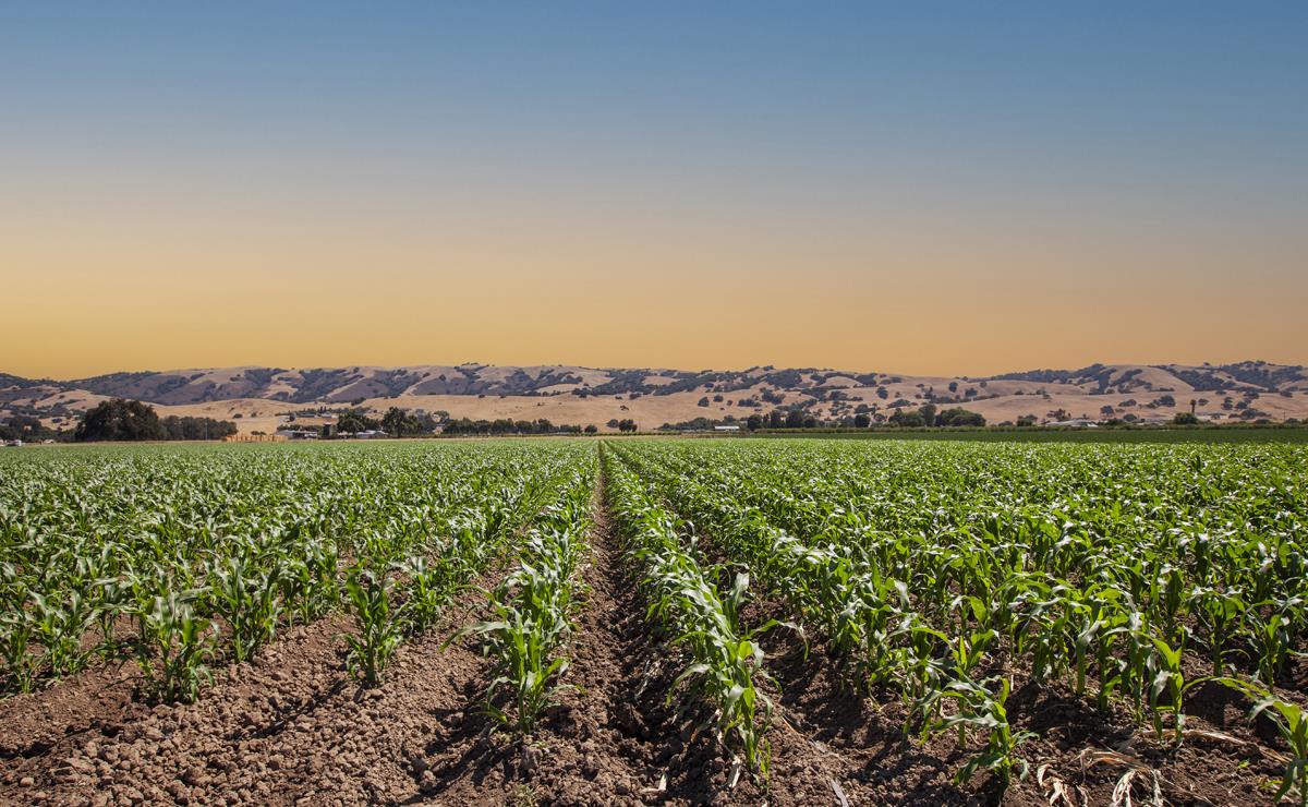 0 Crews Road Gilroy, CA 95020 - Photo 6 of 10 a view of a city with lush green forest