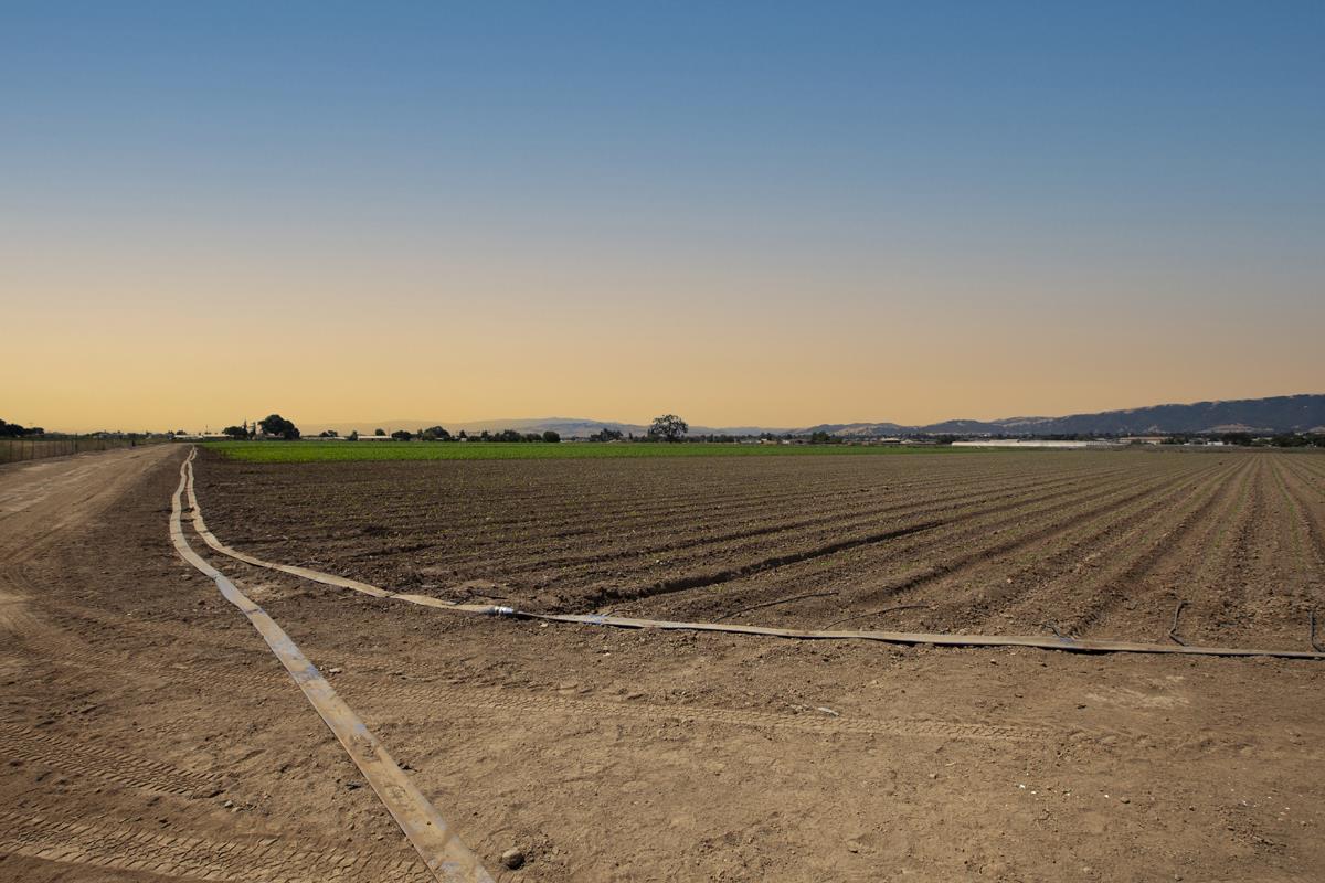0 Crews Road Gilroy, CA 95020 - Photo 10 of 10 a view of outdoor space