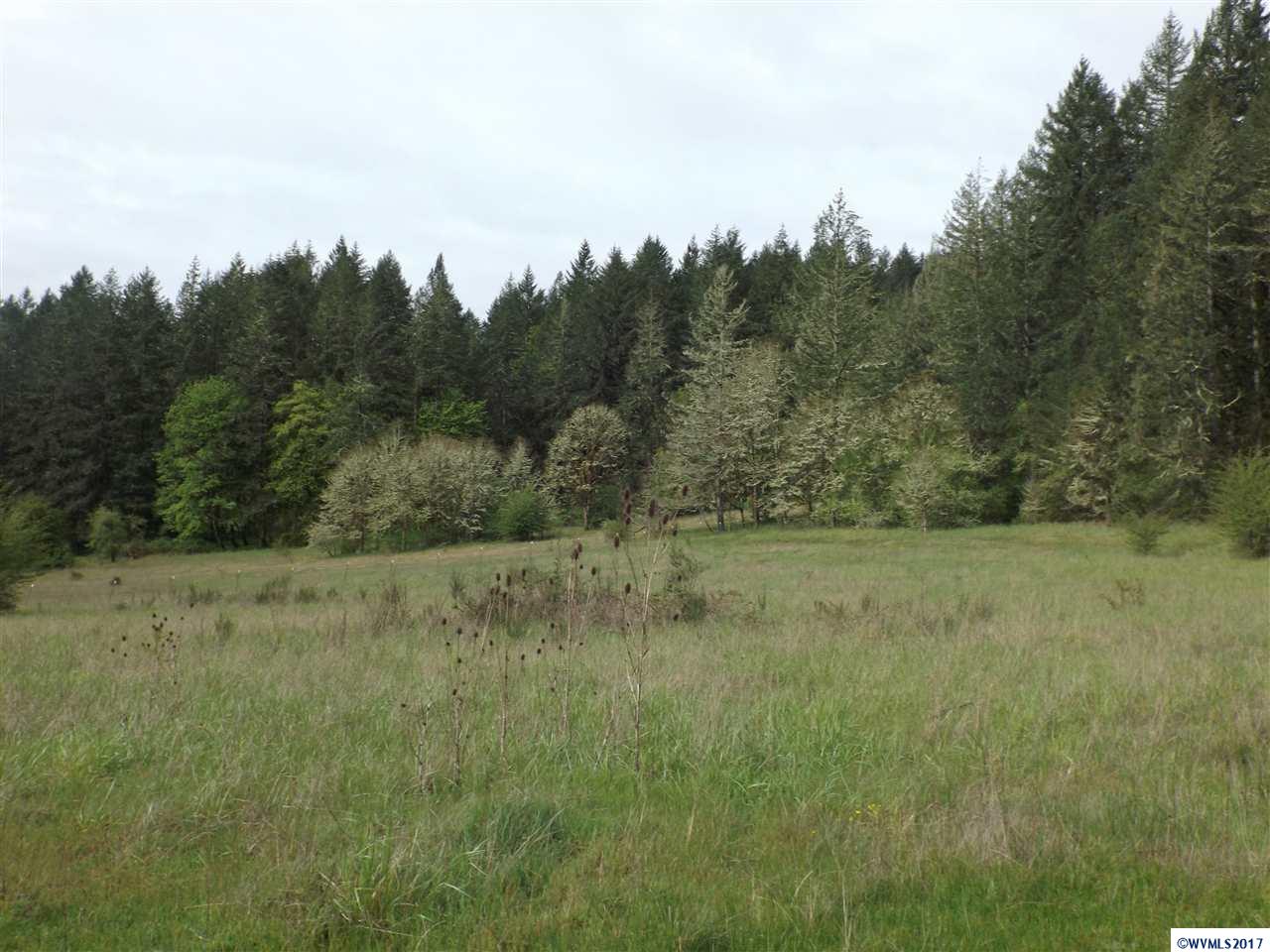 Weldon (lot 209) Road Lebanon, OR 97355 - Photo 7 of 17