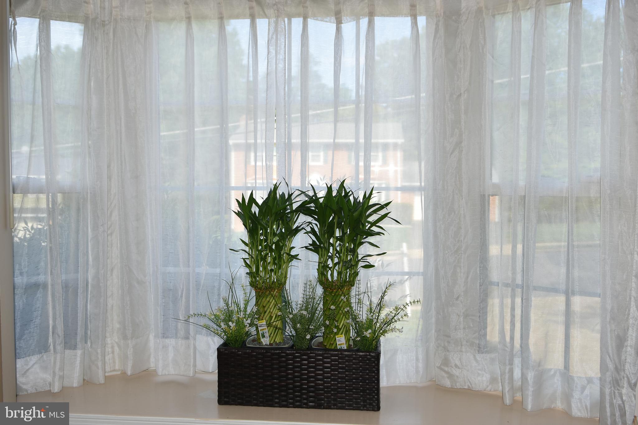 4901 Powell Road Fairfax, VA 22032 - Photo 35 of 64 Gallery Image 35
