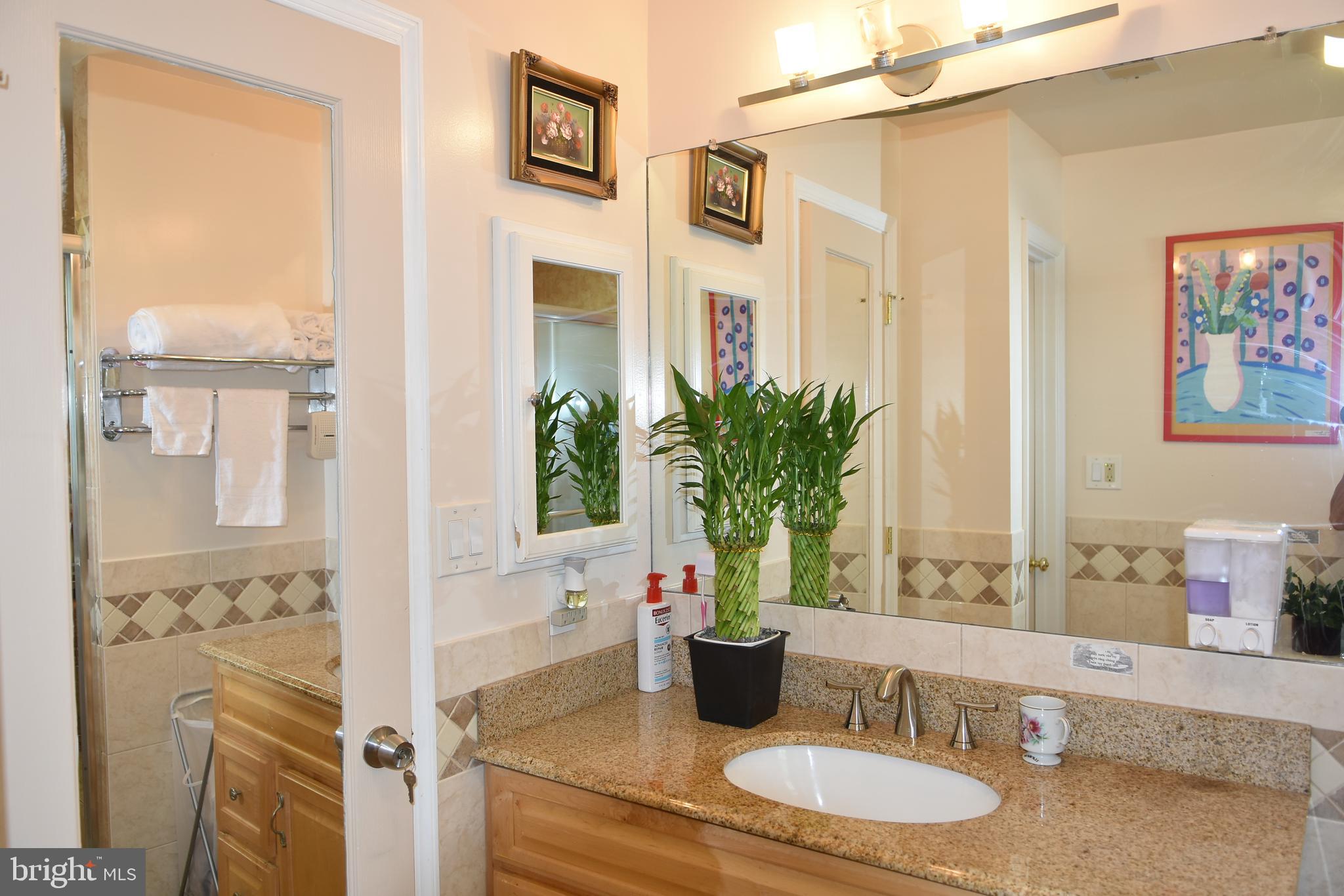 4901 Powell Road Fairfax, VA 22032 - Photo 54 of 64 Full Bath Master Bedroom