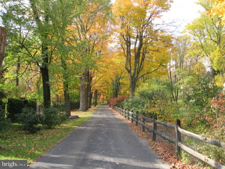 1320 Mt Pleasant Road Villanova, PA 19085 - Photo 1 of 25 Driveway