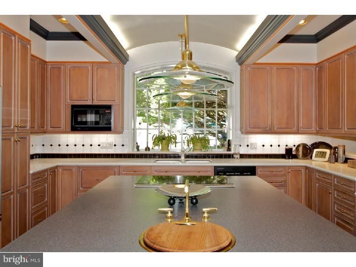 1320 Mt Pleasant Road Villanova, PA 19085 - Photo 13 of 25 Kitchen