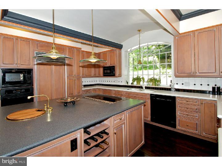 1320 Mt Pleasant Road Villanova, PA 19085 - Photo 14 of 25 Kitchen