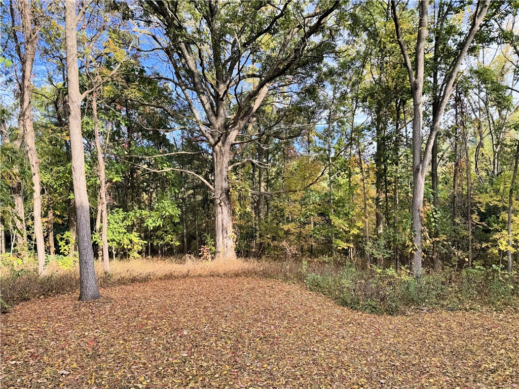 1365 Paul Road Chili, NY 14428 - Photo 44 of 50