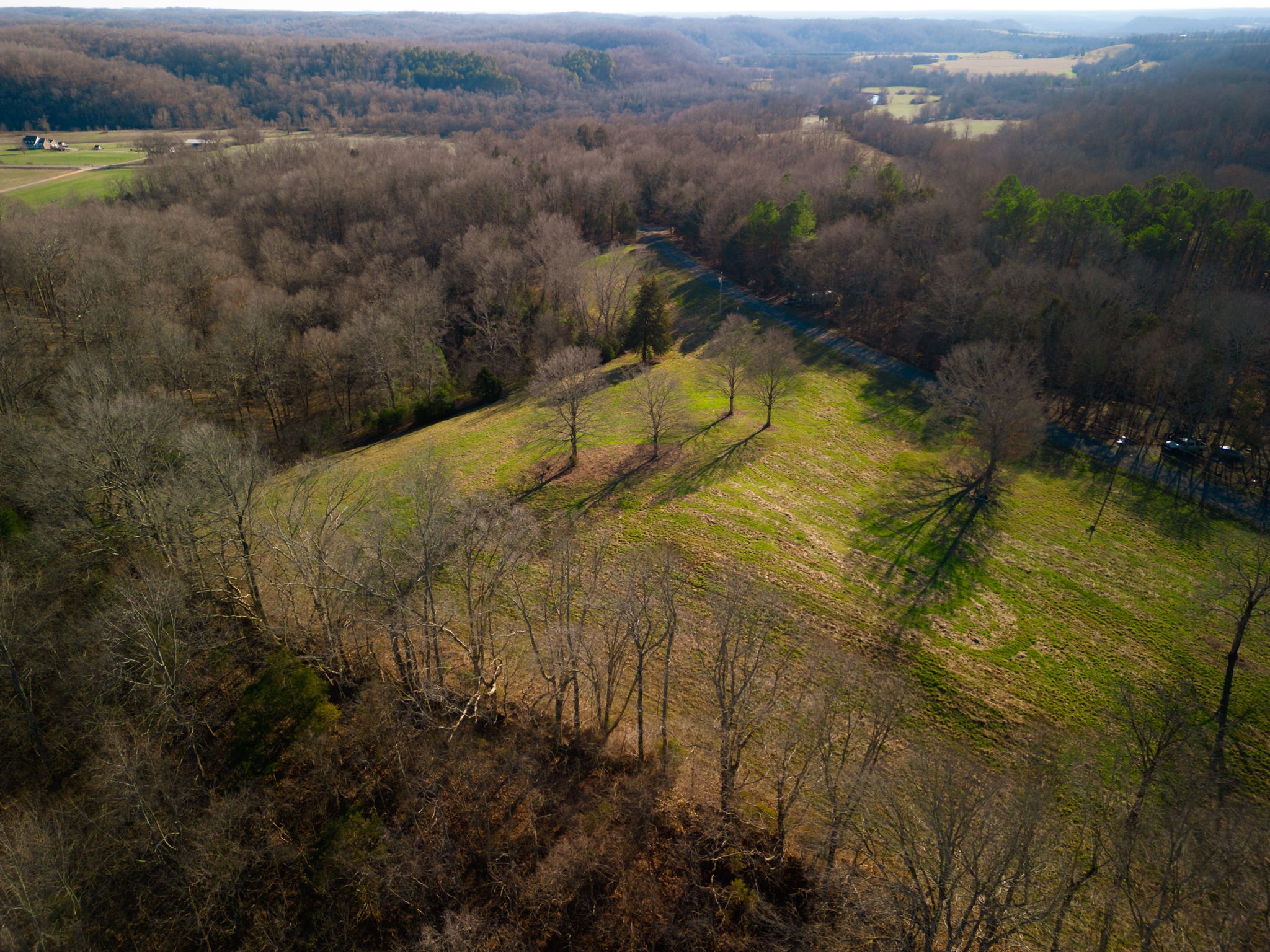 1 Primm Springs Road Lyles, TN 37098 - Photo 1 of 24 a view of a lake in middle of the town