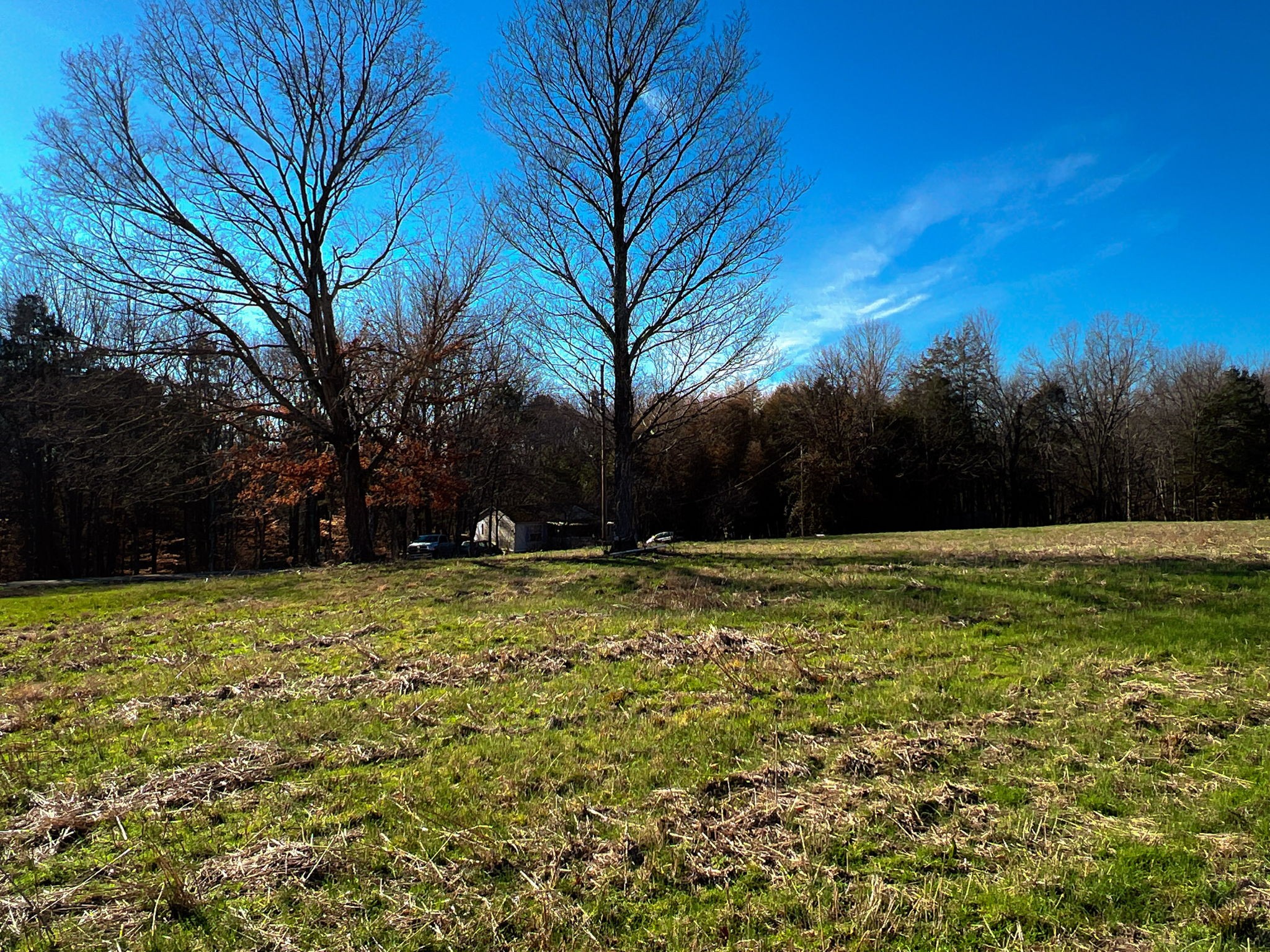 1 Primm Springs Road Lyles, TN 37098 - Photo 12 of 24 a backyard of a house with lots of green space