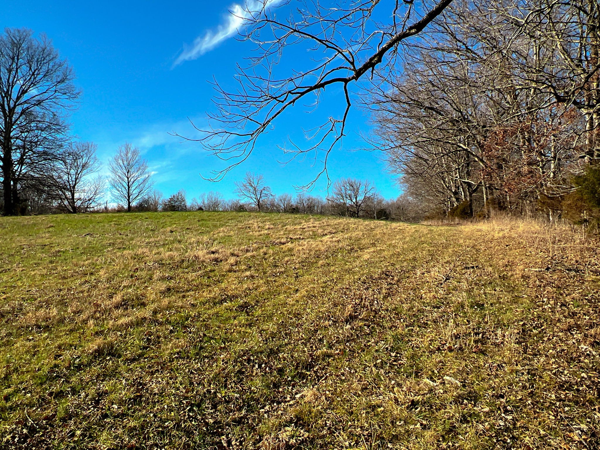 1 Primm Springs Road Lyles, TN 37098 - Photo 17 of 24 a view of a yard