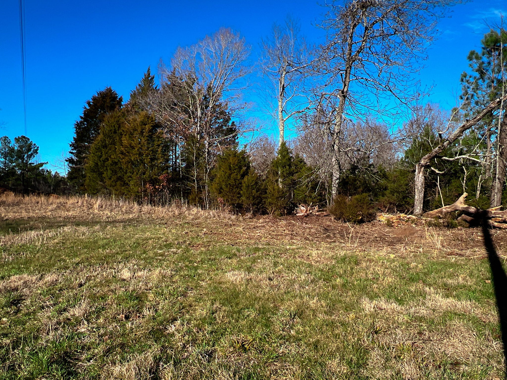 1 Primm Springs Road Lyles, TN 37098 - Photo 23 of 24 a view of a yard with an outdoor space