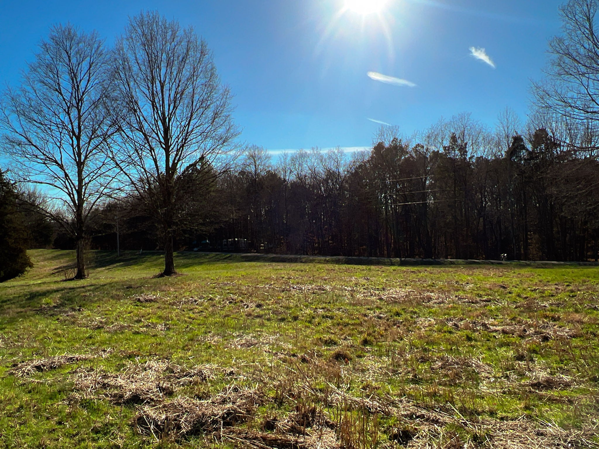 1 Primm Springs Road Lyles, TN 37098 - Photo 4 of 24 a yard with swimming pool and trees in the background